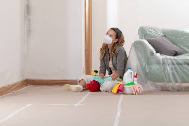 Reliable Mold Testing contractor in Hudson, CO by WQB Mold Removal